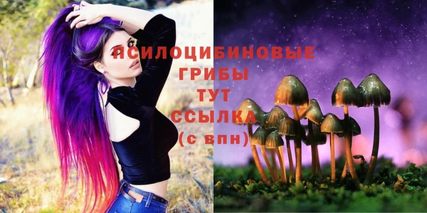 метадон Гусиноозёрск