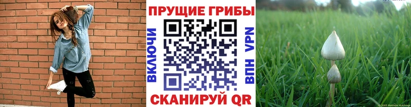 Галлюциногенные грибы Magic Shrooms  Купить закладки  Семёнов 